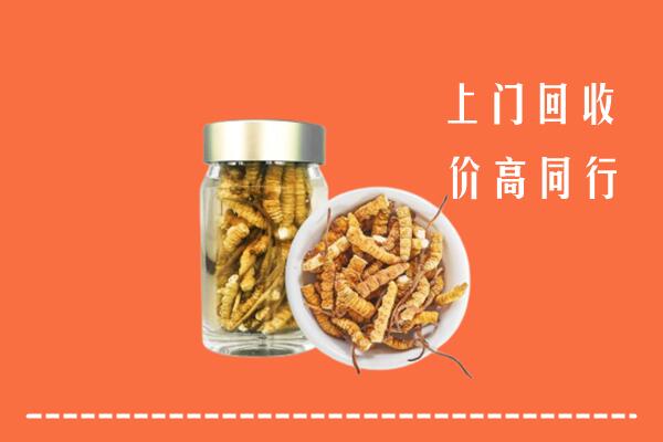 收购行情：苏州姑苏回收冬虫夏草